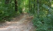 Tocht Elektrische fiets Saint-Clément - sortie vtt 14082022 singles vitrimont - Photo 5