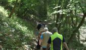 Trail Walking Olne - 20230603 - IPA Balade Olne - 7.2 Km - Photo 17