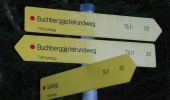 Randonnée A pied Goldegg - Buchberg-Gipfelrundweg - Photo 9