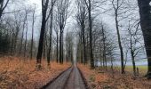 Trail Walking Libramont-Chevigny - rando laneuville(libramont)18/02/2021 - Photo 6