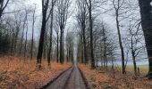 Tour Wandern Libramont-Chevigny - rando laneuville(libramont)18/02/2021 - Photo 6