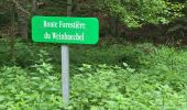 Trail Walking Oberhaslach - Circuit des 2 cascades - Photo 10