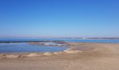 Excursión Marcha nórdica Agde - Agde - Grau d'Agde - Etang du Clos de Vias - Photo 15