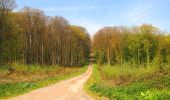 Trail Walking Longpont - en forêt de Retz_77_Longpont_Puiseux en Retz_AR - Photo 7