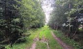 Randonnée Marche Sprimont - plain de fagne . rouge thier . adzeux - Photo 20