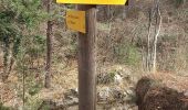 Trail Walking Estoublon - Gorges de Trevans par Valbonnette - Photo 15