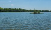 Tour Zu Fuß Malschwitz - Naturerlebnispfad „Guttauer Teiche & Olbasee