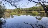 Trail Walking Seignosse - Belleherbe en boucle depuis le Pénon - Photo 1