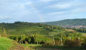 Excursión Senderismo Dorlisheim - rando Dorlisheim 2 - Photo 18