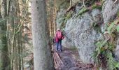 Randonnée Marche Houffalize - Wibrin - Photo 13