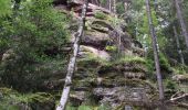 Trail Walking Breitenau - Fouchy  - Photo 1