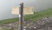 Tocht Stappen Arâches-la-Frasse - Flaine, col Pelouse par la cabane de Balacha - Photo 3