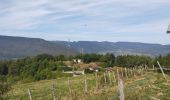 Tour Wandern Le Châtelard - Châtelard  - Photo 1