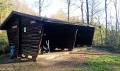 Excursión A pie Birkenau - Rundwanderweg Birkenau 9: Götzenstein-Panoramaweg - Photo 9