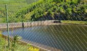 Percorso Marcia Queuille - 2025-05-01 Reco-La sioule - Photo 2