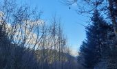 Trail Walking Rochesson - cascade de Battion  - Photo 5