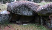 Tour Zu Fuß Unknown - Den nordlige vandretur i Lindet Skov - Photo 10