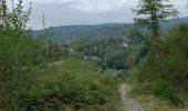 Excursión Senderismo La Roche-en-Ardenne - Transardennaise 1 - Photo 16