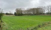 Tour Wandern Zwalm - Sint-Blasius Boeckel 16,2 km - Photo 13