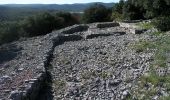 Tour Zu Fuß Viols-le-Fort - Circuit des dolmens de Viols-le-Fort à Cantagrils - Photo 2