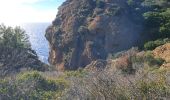 Trail Walking La Ciotat - 1 ma trace nd garde-ruine Spaeny  - Photo 4