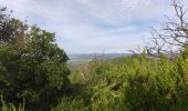 Randonnée Marche Pignans - Notre dame des anges - Pignans - Photo 1