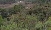 Tour Wandern Gardanne - l écomusée de gardanne - Photo 14