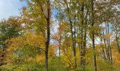 Tour Wandern Gerpinnes - 100 pc forestier  - Photo 1