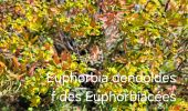 Trail Walking La Ciotat - Trail Walking La Ciotat -