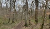 Trail Walking Brochon - Boucle des cent marches et du pavillon de l'empereur  - Photo 13