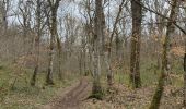 Tour Wandern Brochon - Boucle des cent marches et du pavillon de l'empereur  - Photo 13