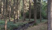 Trail Walking Marche-en-Famenne - Champlon - Boucle qui alterne sous-bois et vues dégagées à 360°. Larges sentiers caillouteux et un peu de macadam.  - Photo 2