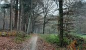 Tour Wandern Sint-Genesius-Rode - Forêt Espinette centrale 8.4 km - Photo 3