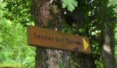 Percorso Marcia Divonne-les-Bains - Randonnée - Photo 8