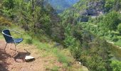 Randonnée Marche Massegros Causses Gorges - Au long du Tarn : Des Vignes à Mostuéjouls - Photo 10