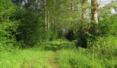 Tocht Stappen Rethondes - en forêt de Laigue_4_08_2019_Mont du Fouilleux_Mont des Singes_Marais de Francière - Photo 18