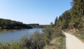 Trail Walking Bütgenbach - butchenbach tour du lac - Photo 13