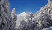 Randonnée Raquettes à neige Sarcenas - Le  Mont Fromage et ses crêtes - Photo 11