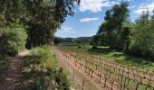 Tour Wandern Cabasse - Cabasse - Le Défens - Trou des Fées - Photo 4