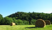 Tour Zu Fuß Pontassieve - Anello del Rinascimento - Photo 3