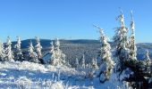 Randonnée A pied Loučná nad Desnou - NS S Koprníčkem na výlet Keprnickými horami - Photo 9