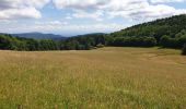 Tour Wandern Schönenberg - Tour du Champ du Feu - Photo 20