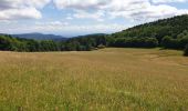 Excursión Senderismo Belmont - Tour du Champ du Feu - Photo 20