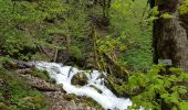 Randonnée Marche Consolation-Maisonnettes - Cirque de la Consolation - cascade du Lancot - Photo 18