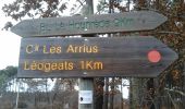 Trail On foot Roaillan - Les Gemeys : circuit départemental - Photo 8