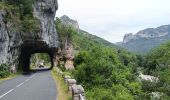 Trail Electric bike Millau - Millau gorges de la Jonte et gorges du Tarn - Photo 5