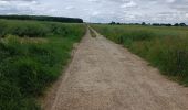 Tocht Stappen Notre-Dame-de-Bondeville - La bretêque-Isneauville-Houppeville - Photo 20