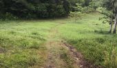 Trail Walking Sainte-Anne - Belle mare  - Photo 7
