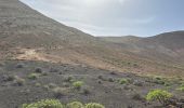 Percorso  Tinajo - Lanzarote caldera blanca - Photo 6