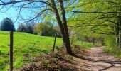 Trail Walking Liège - angleur gare . sart tilman via bois St Laurent.retour via bois St jean - Photo 6